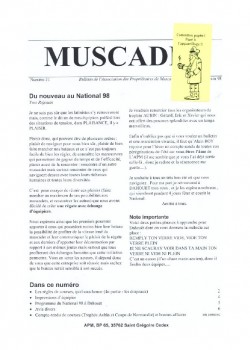 Bulletin N°31