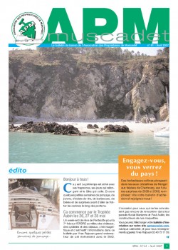 Bulletin N°61